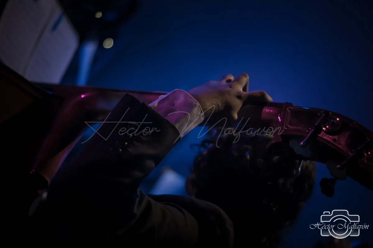 Fotografía de concierto en vivo en Campeche