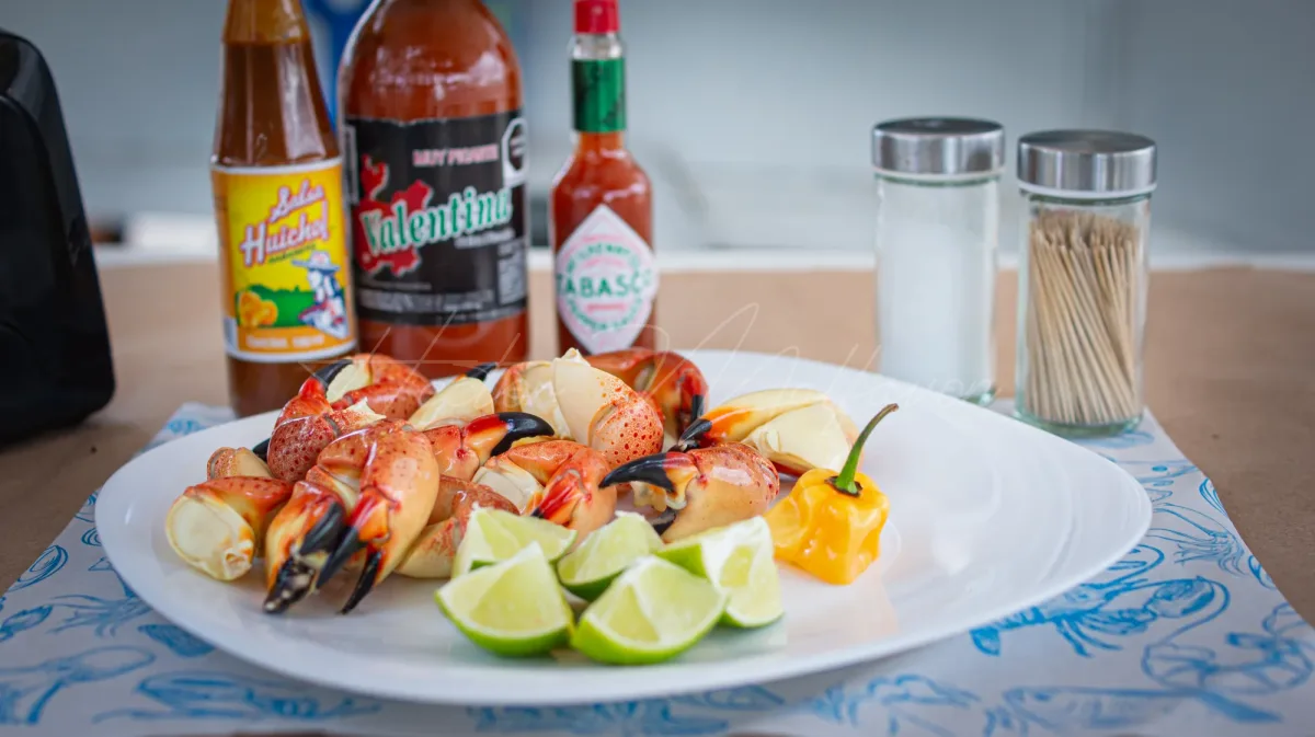 Fotografía de alimentos y gastronomía en Campeche