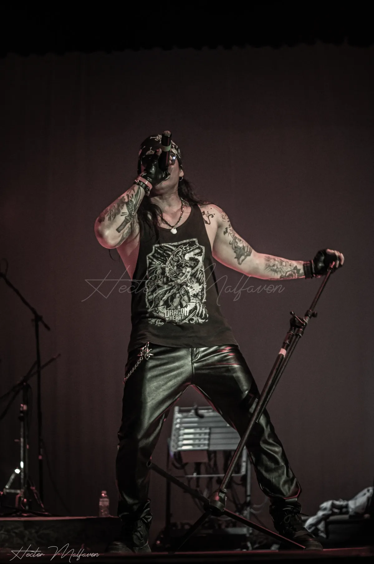 Fotografía de concierto en vivo en Campeche