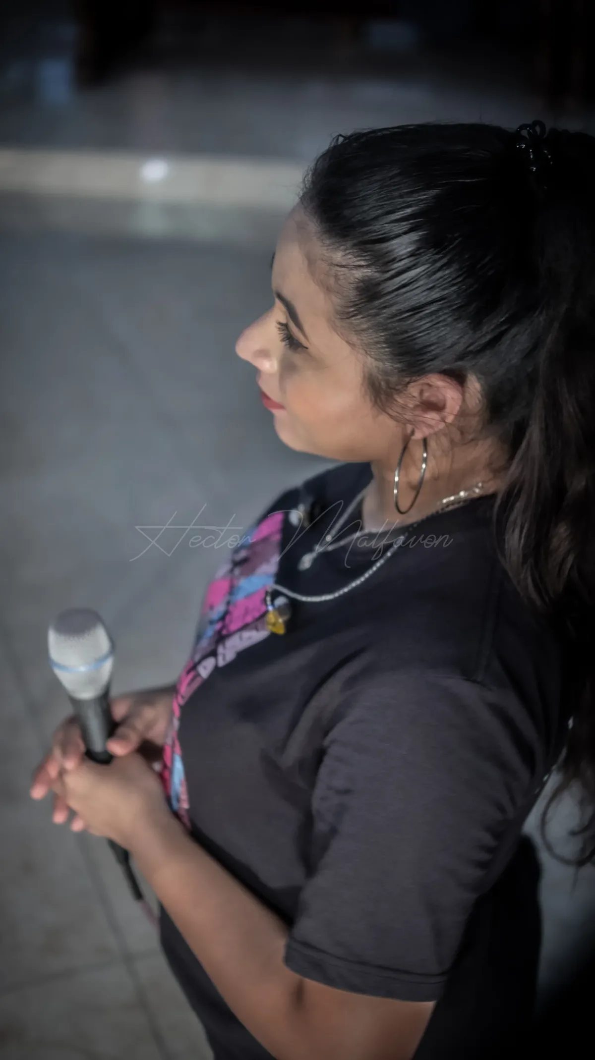 Fotografía de concierto en vivo en Campeche